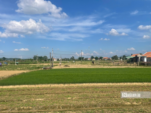 Về Thuận Nghĩa để nghe chuyện trồng rau trở th&agrave;nh chuyện du lịch- Ảnh 7.