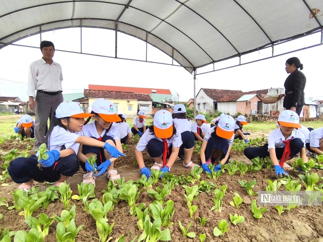 Về Thuận Nghĩa để nghe chuyện trồng rau trở th&agrave;nh chuyện du lịch- Ảnh 13.