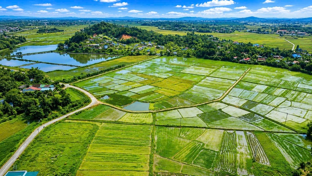 “Gọi tên xã cũ thành thôn” tạo sự đồng thuận cao ở xã Tứ Mỹ- Ảnh 1. “Gọi tên xã cũ thành thôn” tạo sự đồng thuận cao ở xã Tứ Mỹ- Ảnh 1.