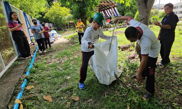 Đang dọn vườn, người dân thấy cảnh tượng "nổi da gà", cả làng ùn ùn kéo đến xem - Ảnh 2.
