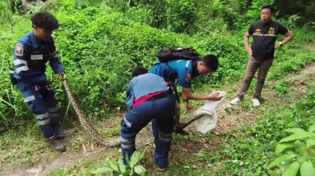 Đang đi dạo gặp cảnh "nổi da gà", người phụ nữ lập tức hô hoán người tới xem - Ảnh 2.