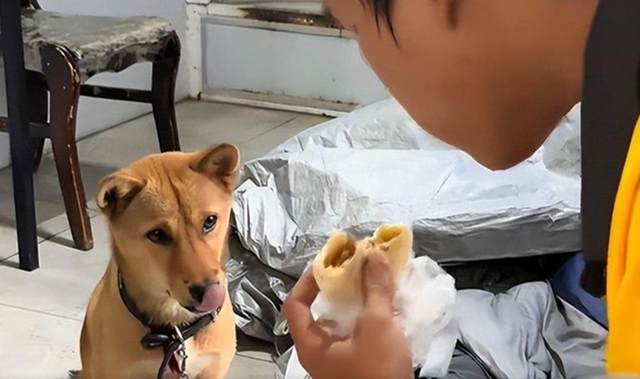 Mang theo ch&uacute; ch&oacute; nhỏ, nam sinh ngh&egrave;o ng&agrave;y l&agrave;m 10 tiếng, đ&ecirc;m ngủ gầm cầu để t&iacute;ch g&oacute;p tiền nhập học - Ảnh 2.