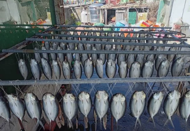 Đang đi dạo, người dân phát hiện cảnh tượng "nổi da gà" - Ảnh 1.