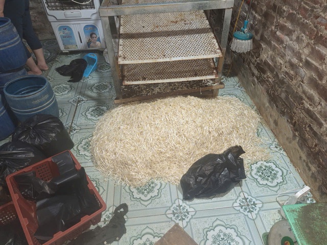 Hưng Y&ecirc;n: Khởi tố đối tượng sử dụng chất cấm sản xuất gần 800kg gi&aacute; đỗ tuồn ra thị trường- Ảnh 2.