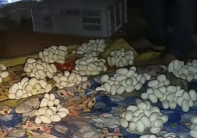 Mở cửa căn ph&ograve;ng trống, nam thanh ni&ecirc;n chứng kiến cảnh tượng "kh&ocirc;ng thể tin nổi" - Ảnh 1.