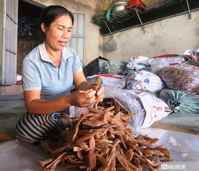 Loại đặc sản giúp cả thôn “đổi đời”, cho nguồn thu hàng chục tỷ mỗi năm- Ảnh 1. Loại đặc sản giúp cả thôn “đổi đời”, cho nguồn thu hàng chục tỷ mỗi năm- Ảnh 1.