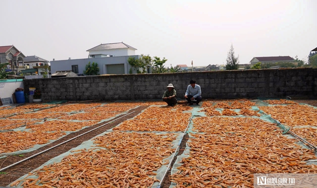Loại đặc sản giúp cả thôn “đổi đời”, cho nguồn thu hàng chục tỷ mỗi năm- Ảnh 3. Loại đặc sản giúp cả thôn “đổi đời”, cho nguồn thu hàng chục tỷ mỗi năm- Ảnh 3.