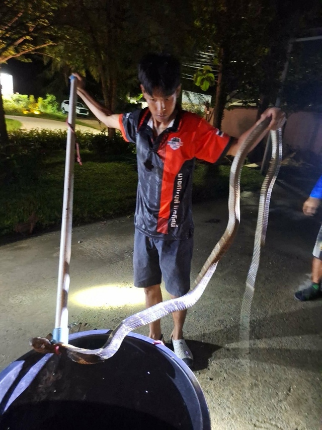 Nghe tiếng ch&oacute; sủa, người d&acirc;n chứng kiến cảnh tượng đ&aacute;ng sợ trong đ&ecirc;m - Ảnh 2.