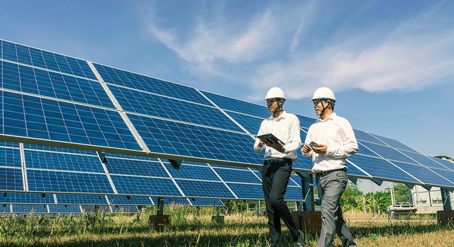 Rox Energy bị phạt 92,5 triệu đồng do chậm c&ocirc;ng bố th&ocirc;ng tin h&agrave;ng loạt b&aacute;o c&aacute;o - Ảnh 1.