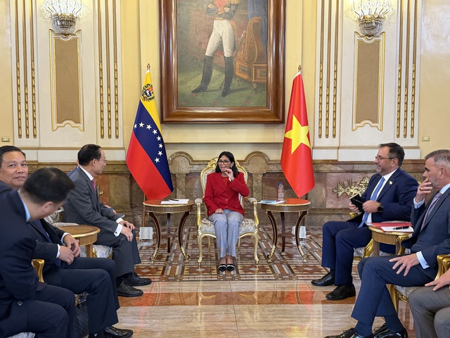 Việt Nam nhất qu&aacute;n ủng hộ Ch&iacute;nh phủ hợp hiến của Venezuela - Ảnh 1.
