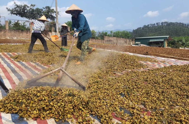 Quảng Ninh: Giữ vững đ&agrave; tăng trưởng ng&agrave;nh n&ocirc;ng nghiệp- Ảnh 1.