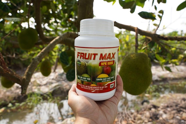 FRUIT MAX NPK 8000: Giải ph&aacute;p nu&ocirc;i tr&aacute;i lớn nhanh, b&oacute;ng đẹp, nặng k&yacute;, n&acirc;ng tầm gi&aacute; trị n&ocirc;ng sản xuất khẩu - Ảnh 3.