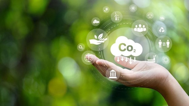 Ch&iacute;nh thức vận h&agrave;nh s&agrave;n giao dịch carbon - Ảnh 1.