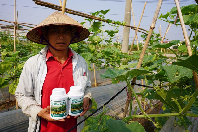 GROW MAX NPK 8000 &ndash; Giải Ph&aacute;p Tối Ưu Quang Hợp, Đẩy Nhanh Tiến Độ Kiến Thiết T&aacute;n C&acirc;y - Ảnh 1.
