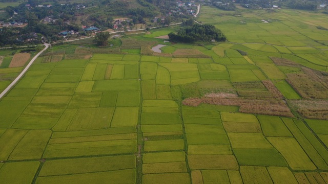 X&atilde; Sơn Tiến (H&agrave; Tĩnh) - Kh&aacute;t vọng vươn l&ecirc;n từ miền sơn cước - Ảnh 4.