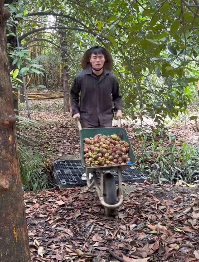 "Tổng tài" Vbiz mưu sinh bằng đủ thứ nghề chân tay để "kiếm cơm qua ngày" - Ảnh 5.