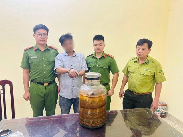 Bắt quả tang người đàn ông mang động vật quý hiếm ngâm rượu đi bán- Ảnh 1. Bắt quả tang người đàn ông mang động vật quý hiếm ngâm rượu đi bán- Ảnh 1.