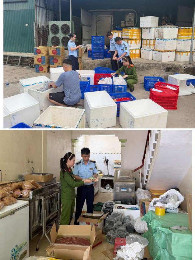 Khởi tố giám đốc sản xuất hàng chục nghìn sản phẩm nem chua rán giả - Ảnh 2.