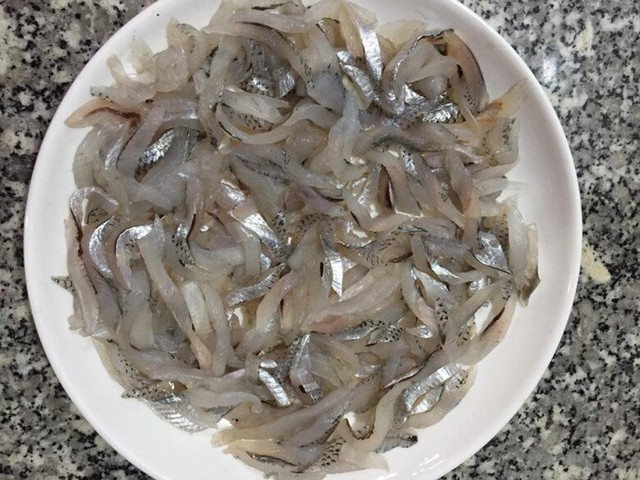 Loài cá "quý hơn vàng" có tên nghe như "hờn cả thế giới" - Ảnh 4.