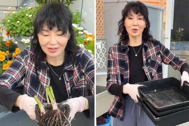 "Người phụ nữ đẹp bậc nhất ch&acirc;u &Aacute;": Tuổi xế chiều lẻ b&oacute;ng, sống đời b&igrave;nh dị kh&oacute; tin - Ảnh 3.