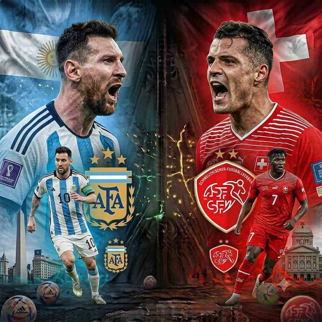Mèo "tiên tri" dự đoán kết quả trận Argentina vs Thụy Sĩ: Liệu có kỳ tích? - Ảnh 2.