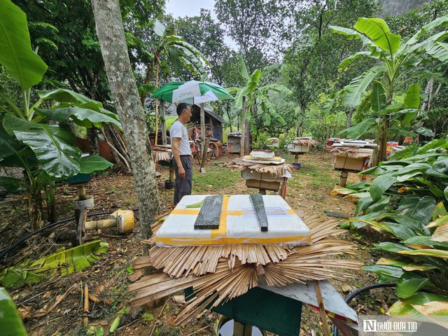 B&iacute; quyết nu&ocirc;i ong mật ở v&ugrave;ng đệm VQG Phong Nha &ndash; Kẻ B&agrave;ng cho thu nhập h&agrave;ng tỷ đồng mỗi năm- Ảnh 5.
