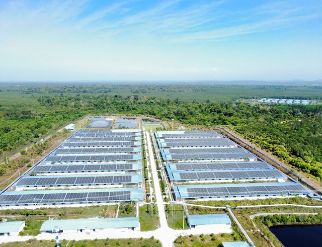 Chuyển đổi xanh tại C.P. Việt Nam: Từ cam kết đến hành động thực tiễn - Ảnh 4.