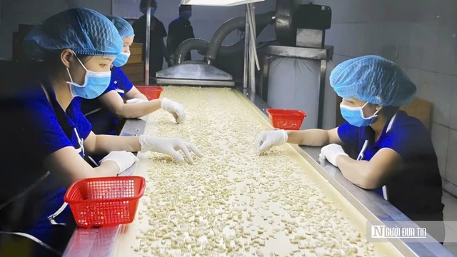 KỲ 1: Việt Nam thống lĩnh xuất khẩu điều thế giới nhưng vẫn lép vế ở cuộc đua thương hiệu - Ảnh 3.