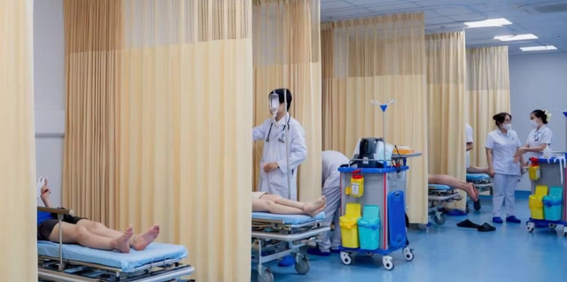 Đang đi chơi vui vẻ, 8 người bị ong vò vẽ đốt phải nhập viện - Ảnh 1.