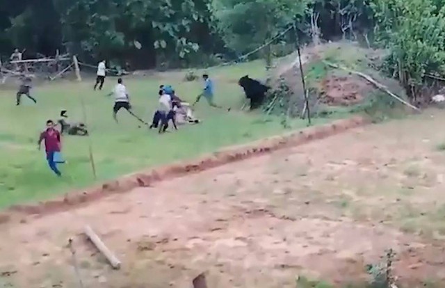 Vừa được cứu khỏi giếng, gấu dữ lao tới tấn công dân làng - Ảnh 1.