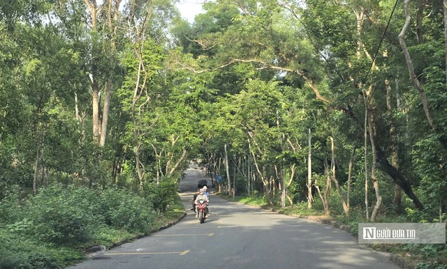 Dự án Công ty Đại Long ở Sầm Sơn: Lộ nhiều sai phạm, xóa 3 bến thuyền tránh bão không lấy ý kiến dân- Ảnh 3.
