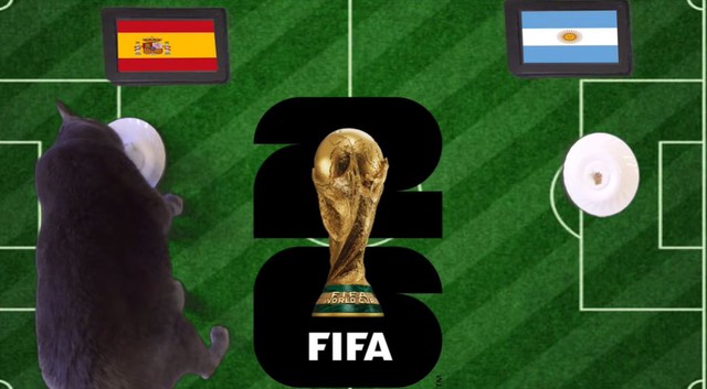 Mèo "tiên tri" dự đoán kết quả trận Tây Ban Nha vs Argentina: Messi đi vào lịch sử? - Ảnh 1.