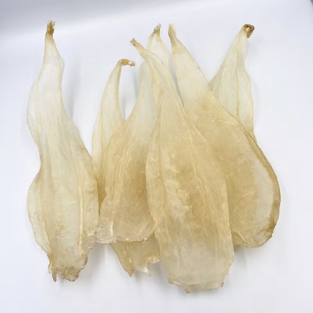 Loài cá tiền tỷ quý hiếm bậc nhất ở Việt Nam, được giới nhà giàu khắp nơi "săn lùng" - Ảnh 3.