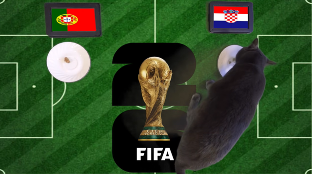 Mèo "tiên tri" dự đoán kết quả trận Bồ Đào Nha vs Croatia: Ronaldo tiếp tục "nổ súng"? - Ảnh 1.