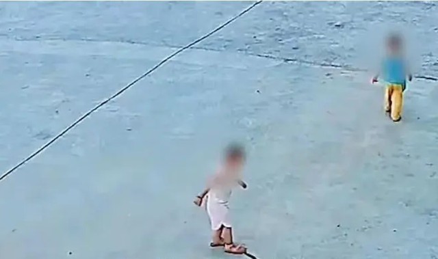 Hai đứa trẻ v&ocirc; t&igrave;nh giẫm tr&uacute;ng rắn hổ mang v&agrave; c&aacute;i kết - Ảnh 2.