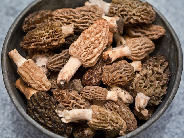 Loài cây mọc hoang ở Việt Nam, "trời Tây" bán 13 triệu đồng/kg - Ảnh 1.