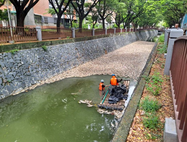 Người dân bàng hoàng khi chứng kiến cảnh tượng "nổi da gà" trên kênh - Ảnh 1.