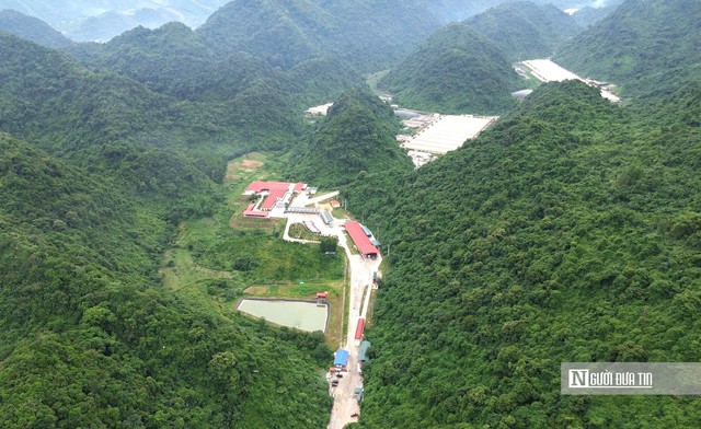 Vụ 5 công an tử vong ở trại lợn: 3 công ty chăn nuôi tại xã đều vi phạm về môi trường- Ảnh 1.