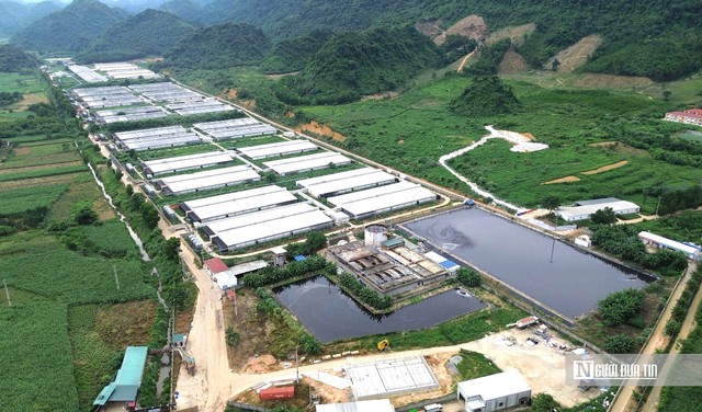 Vụ 5 công an tử vong ở trại lợn: 3 công ty chăn nuôi tại xã đều vi phạm về môi trường- Ảnh 5.