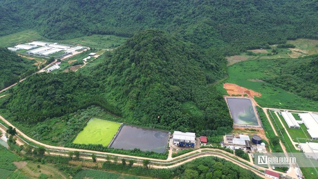Vụ 5 công an tử vong ở trại lợn: 3 công ty chăn nuôi tại xã đều vi phạm về môi trường- Ảnh 6.