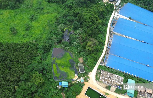 Một xã ở Thanh Hóa "gánh" 7 trại lợn, người dân sống khổ vì mùi hôi- Ảnh 4.