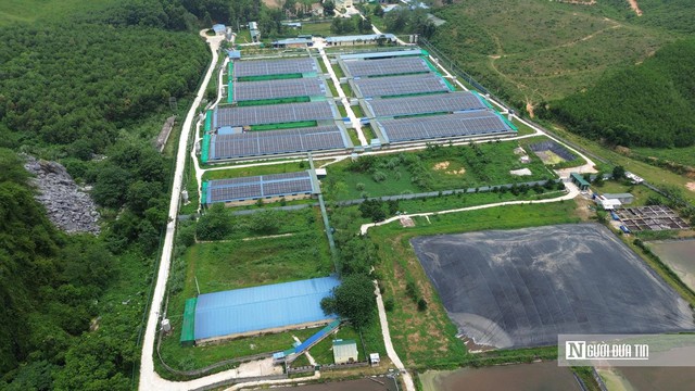 Một xã ở Thanh Hóa "gánh" 7 trại lợn, người dân sống khổ vì mùi hôi- Ảnh 5.