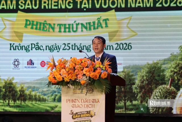 Đắk Lắk lần đầu đấu giá sầu riêng tại vườn, doanh nghiệp trúng lô hàng gần 24 tỷ đồng - Ảnh 3.