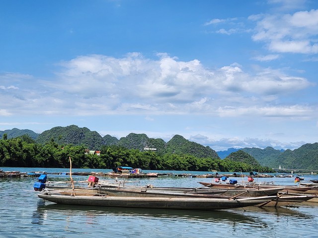 H&agrave;ng trăm hộ nu&ocirc;i c&aacute; trắm ở d&ograve;ng s&ocirc;ng di sản, thu về tiền tỷ mỗi năm- Ảnh 8.