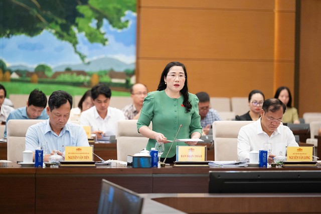 Nâng cao hiệu quả công tác phòng, chống tội phạm, kéo giảm bền vững các loại tội phạm - Ảnh 1.