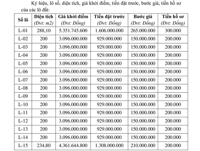 H&agrave; Tĩnh đấu gi&aacute; đất n&ocirc;ng th&ocirc;n khởi điểm hơn 3 tỷ đồng/l&ocirc;- Ảnh 2.