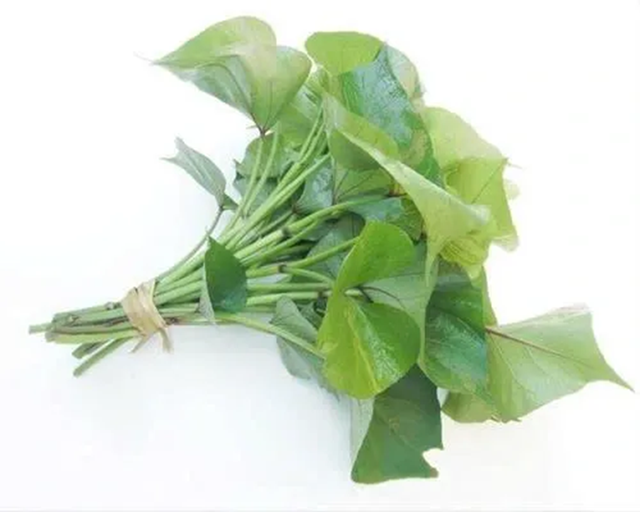 Loại rau rẻ bèo đầy chợ Việt: Ăn thường xuyên mới thấy giá trị thật với sức khỏe - Ảnh 2.