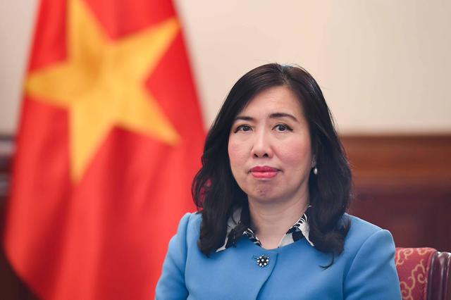Kiều bào - nguồn lực đặc biệt của đối ngoại Việt Nam trong kỷ nguyên mới - Ảnh 1.
