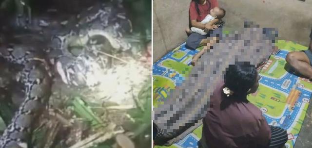 Mổ bụng trăn d&agrave;i 7,8 m&eacute;t, người d&acirc;n sốc nặng khi chứng kiến cảnh tượng "nổi da g&agrave;" - Ảnh 2.