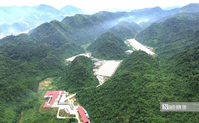 Vụ 5 công nhân tử vong tại trại lợn Dabaco: Khởi tố vụ án để điều tra- Ảnh 1.